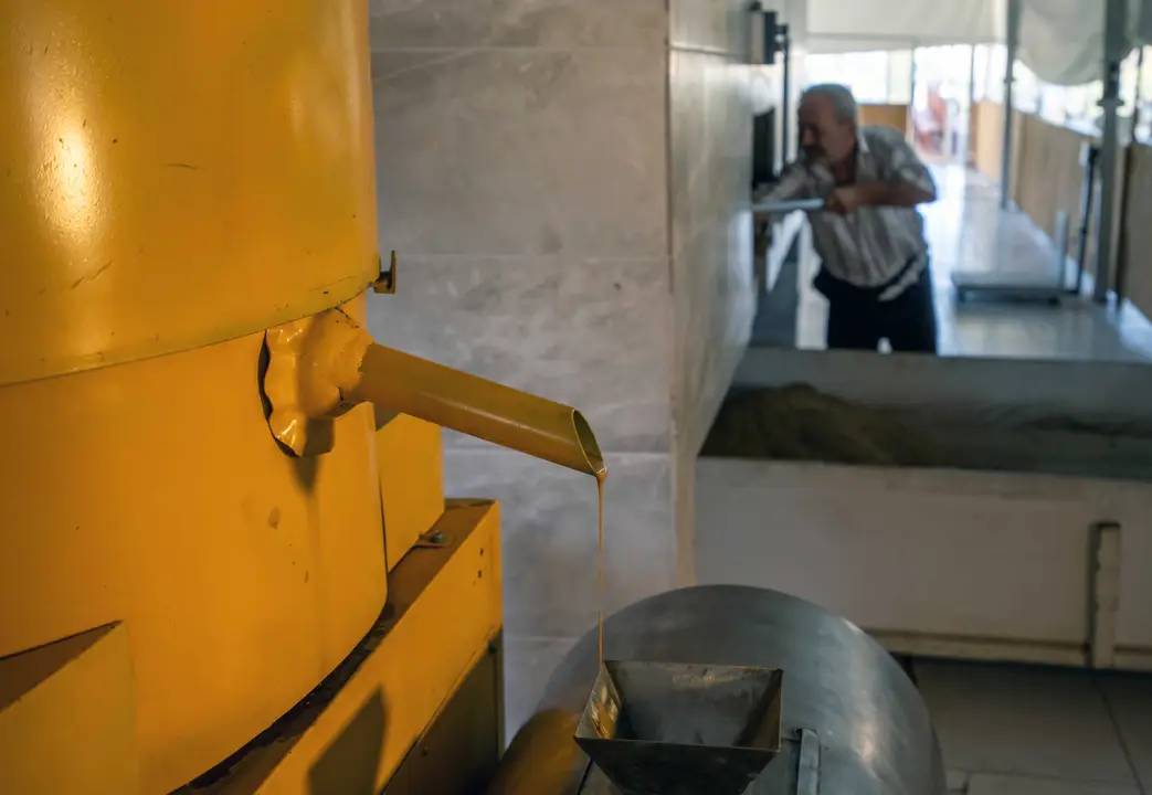 Manavgat Altın Susamının İzinde 7